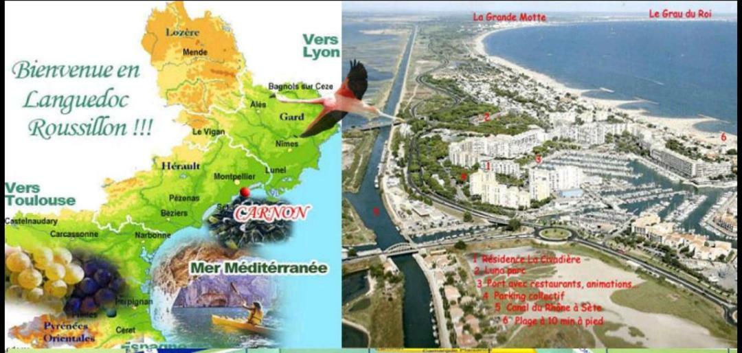 Suite-Junior -Villa Helene - Montpellier Sud - Aeroport- Piscine Privee-2Mn Des Plages Perols Exterior photo
