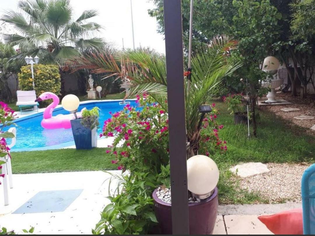 Suite-Junior -Villa Helene - Montpellier Sud - Aeroport- Piscine Privee-2Mn Des Plages Perols Room photo
